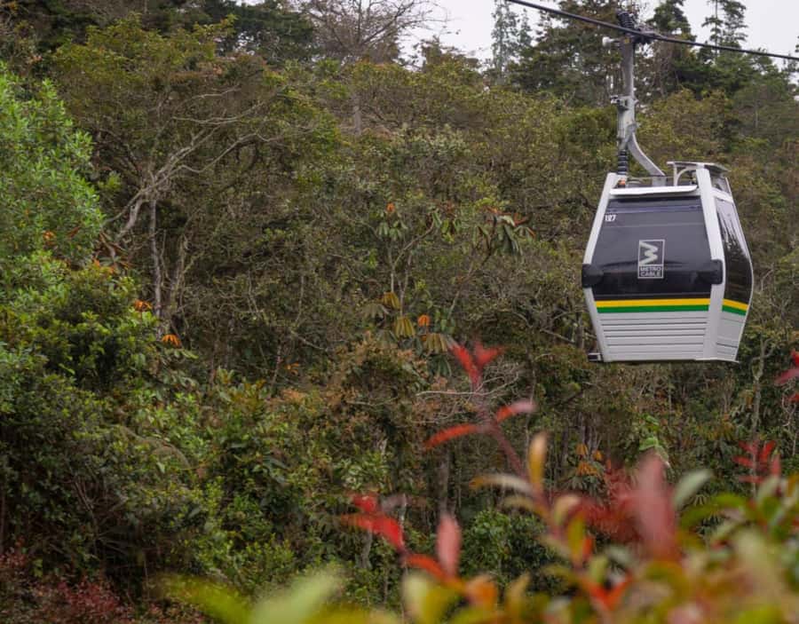 Medellín: Botanical Garden and Arvi Park City Tour - The Botanical Garden: city nature with a guided explanation
