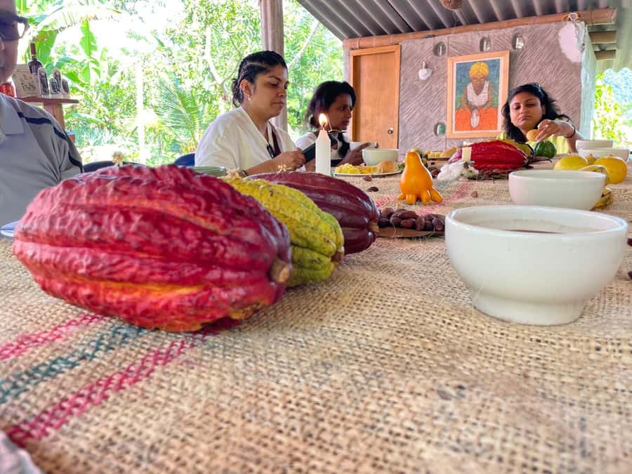 Medellín: Chocolate Tour & Exfoliation in beautiful river - Leaving Medellín for Antioquia’s cacao country