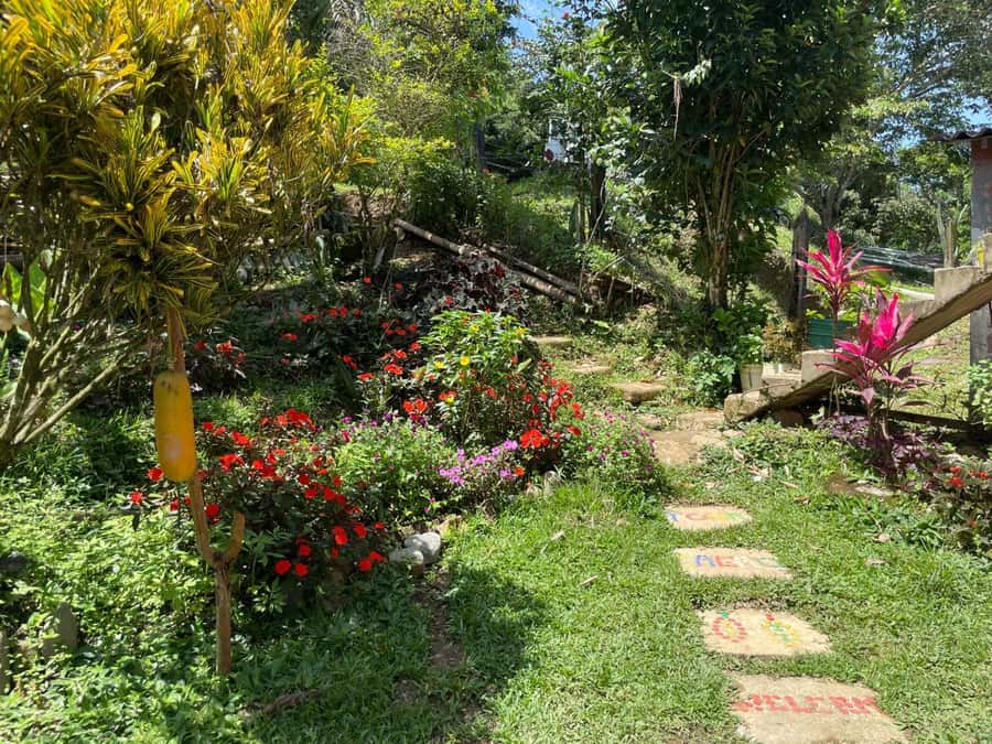 Medellín: Chocolate Tour & Exfoliation in beautiful river - Is $170 a fair price?