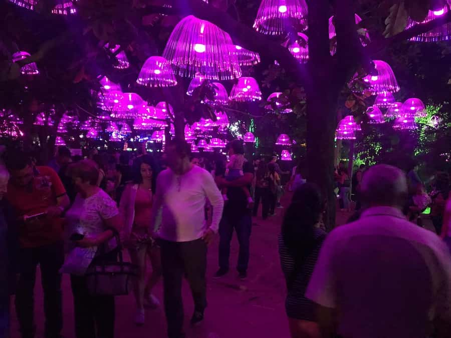 Medellin Christmas Lights Tour - Key points to know before booking