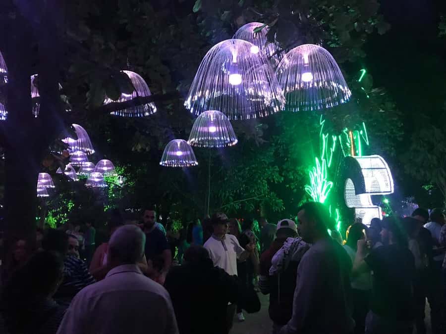 Medellin Christmas Lights Tour - My booking advice