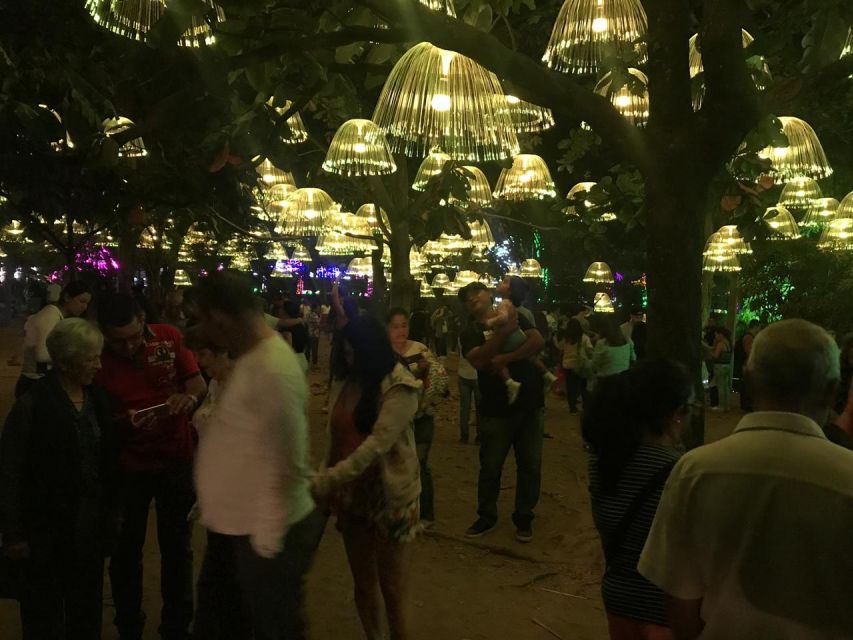 Medellin Christmas Lights Tour - What the light shows are really like