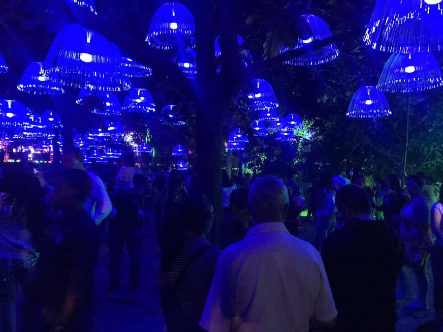 Medellin Christmas Lights Tour - The guide can make or break the evening