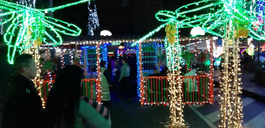 Medellin Christmas Lights Tour - Is $60 a fair price?