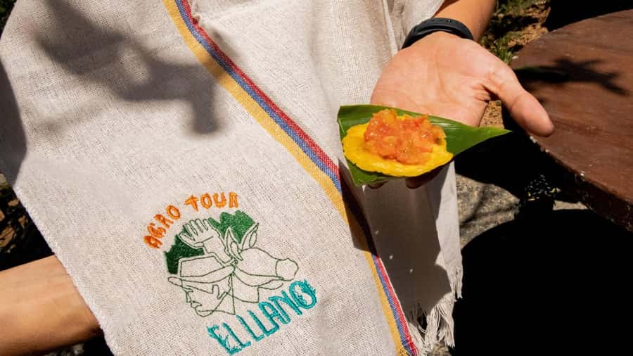 Medellin: Coffee and fruit tour - Should you book the Medellín Coffee and Fruit Tour?