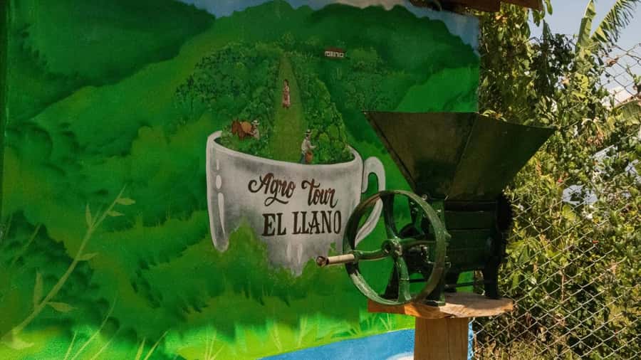 Medellin: Coffee and fruit tour - What the guides add to the experience
