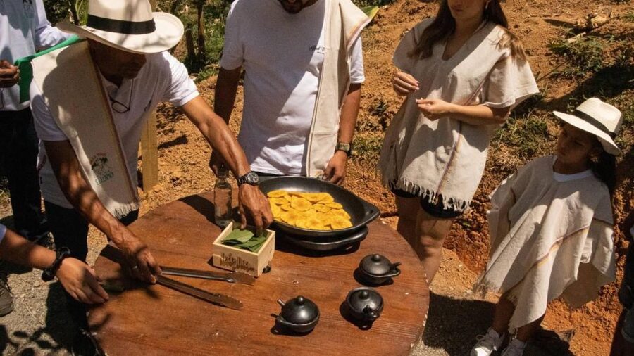 Medellin: Coffee and fruit tour - How much value do you get for $67?