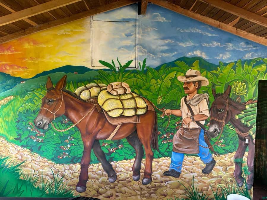 Medellin: Coffee and fruit tour - Practical tips for making the most of three hours