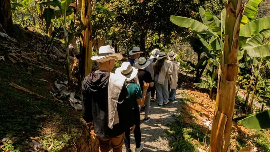 Medellin: Coffee and fruit tour - Five stations that make the farm visit feel hands-on