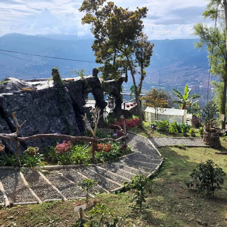 Medellin: Coffee Farm and Barista Workshop Experience - Key points to know before booking