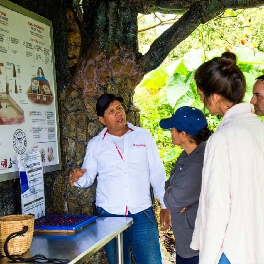 Medellin: Coffee Farm and Barista Workshop Experience - The three-hour workshop: from basic skills to finished cups