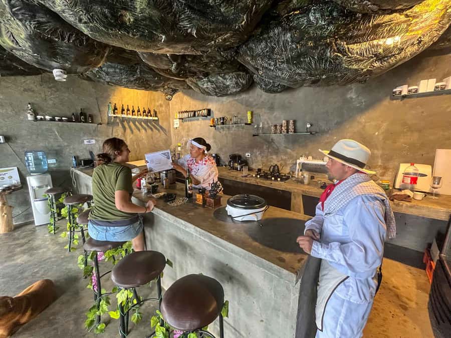 Medellin: Coffee Farm and Barista Workshop Experience - Who will enjoy this experience most?