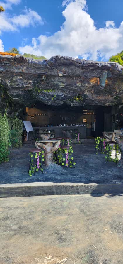 Medellin: Coffee Farm Tour & Spa with Overnight Glamping - What the $1,705 price really buys