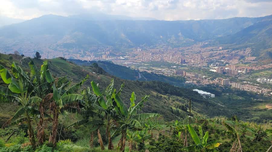 Medellin: Coffee Farm Tour & Spa with Overnight Glamping - Firelight, barbecue, and a coffee cave