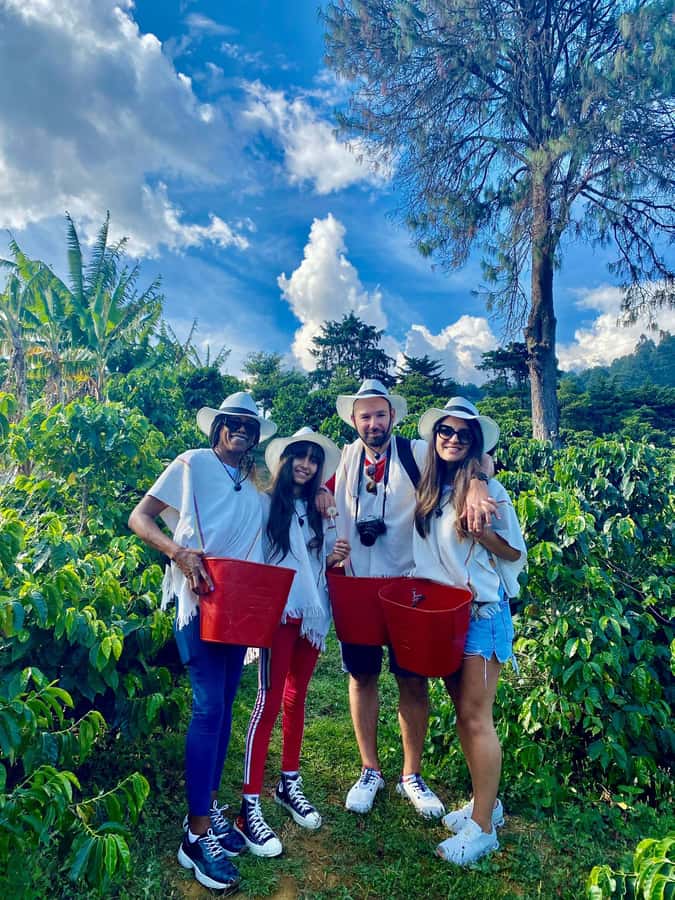 Medellín Coffee Farm Tour with Trolley and Cable Car Ride - Starting beneath San Antonio station