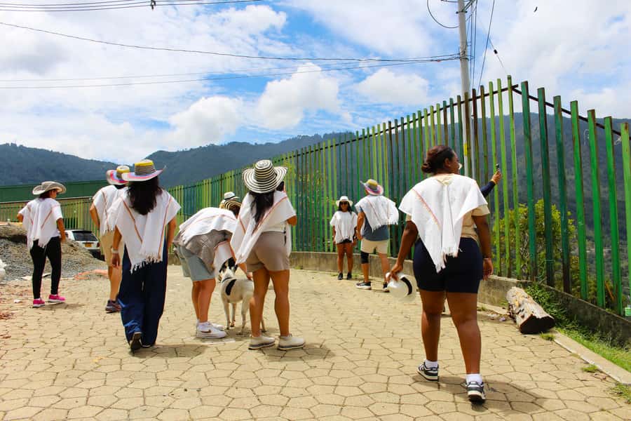 Medellín Coffee Farm Tour with Trolley and Cable Car Ride - Walking through Barrio La Sierra and Comuna 8