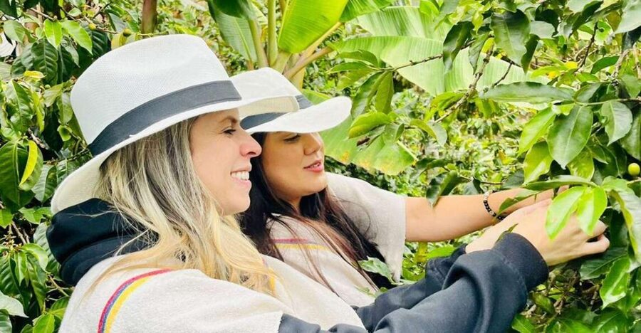 Medellín Coffee Farm Tour with Trolley and Cable Car Ride - What $56 buys you in practical terms