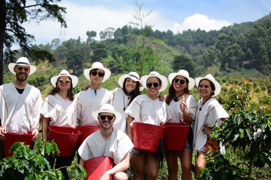 Medellín Coffee Farm Tour with Trolley and Cable Car Ride - The electric trolley gives you a useful first look
