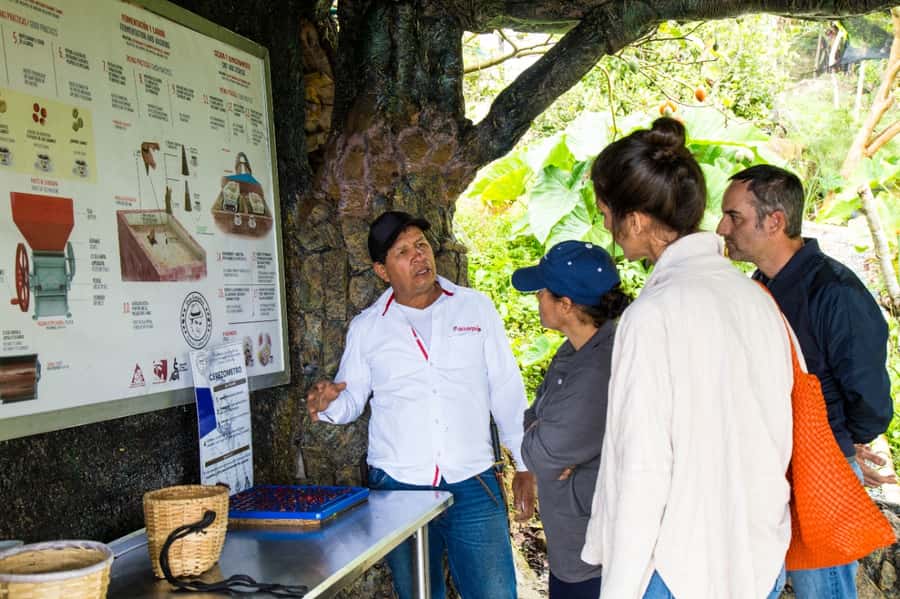 Medellin: Coffee Tour and Wellness Spa - Is $88 a fair price?