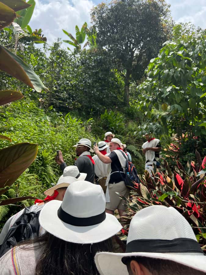 Medellín: Coffee Tour Experience at a Coffee Farm - Walking the ecological routes