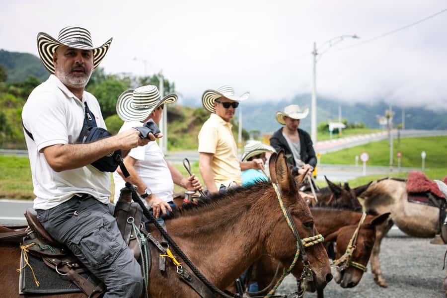 Medellin: Coffee Tour, Horseback Arrival, and Sugar Cane - Key points to know before you book