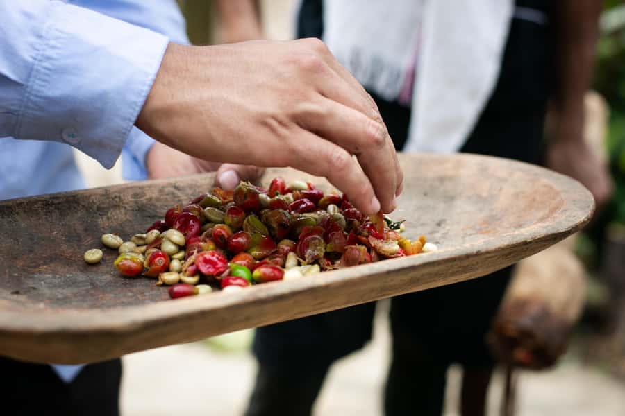 Medellin: Coffee Tour, Horseback Arrival, and Sugar Cane - Is $76 a fair price?