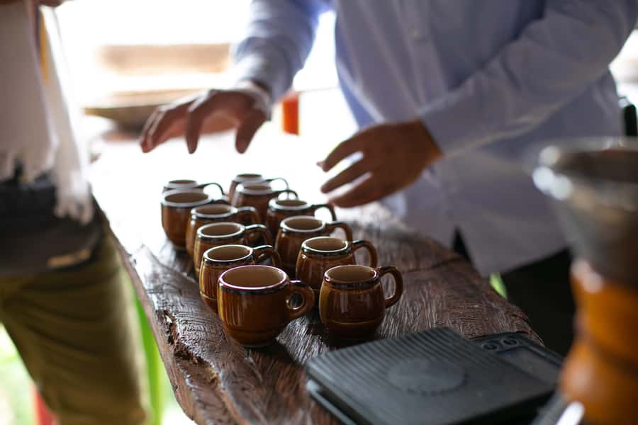 Medellin: Coffee Tour, Horseback Arrival, and Sugar Cane - Meeting a fourth-generation coffee family
