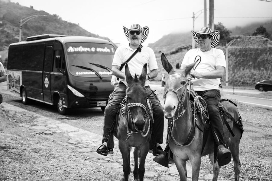 Medellin: Coffee Tour, Horseback Arrival, and Sugar Cane - Picking coffee from the plant