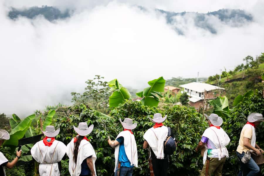Medellin: Coffee Tour, Horseback Arrival, and Sugar Cane - Why the tasting is worth your time