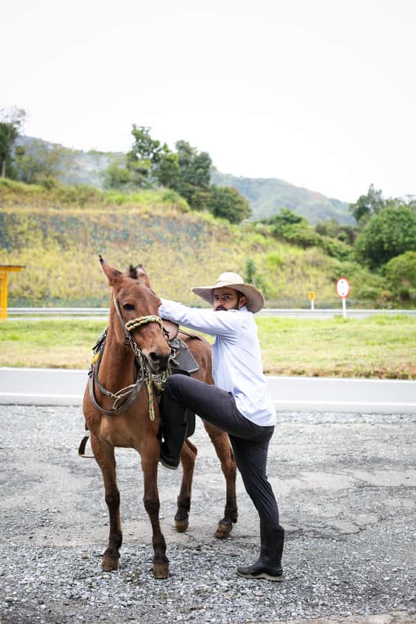 Medellin: Coffee Tour, Horseback Arrival, and Sugar Cane - A typical lunch beside the mountain view