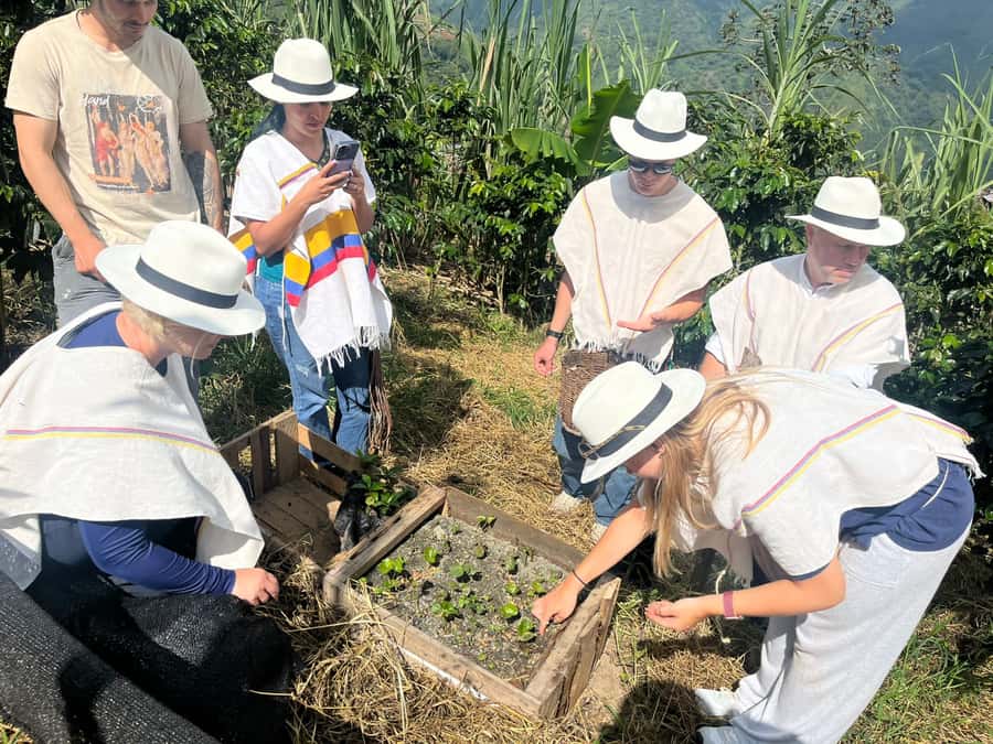 Medellin: Coffee Tour with Hotel Transfers and Meals - The best parts of the coffee farm visit