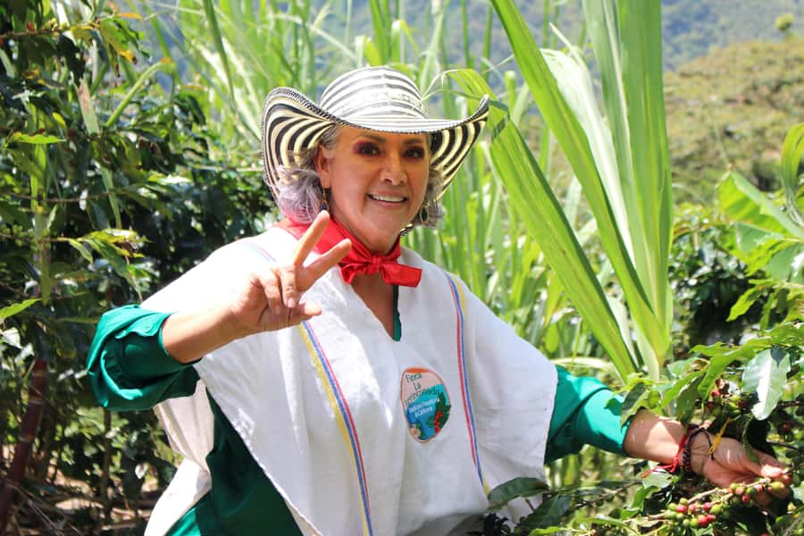 Medellin: Coffee Tour with Hotel Transfers and Meals - Weather, timing, and what can change