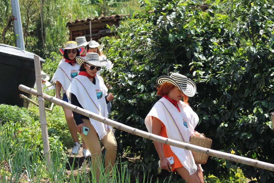 Medellin: Coffee Tour with Hotel Transfers and Meals - From Medellín to San Sebastián de Palmitas