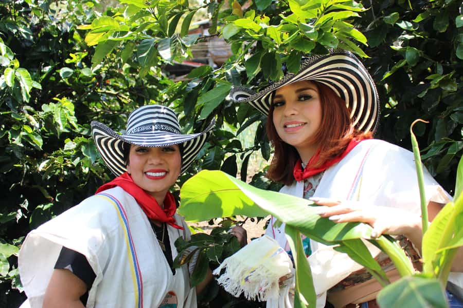 Medellin: Coffee Tour with Hotel Transfers and Meals - Picking beans and following the coffee process