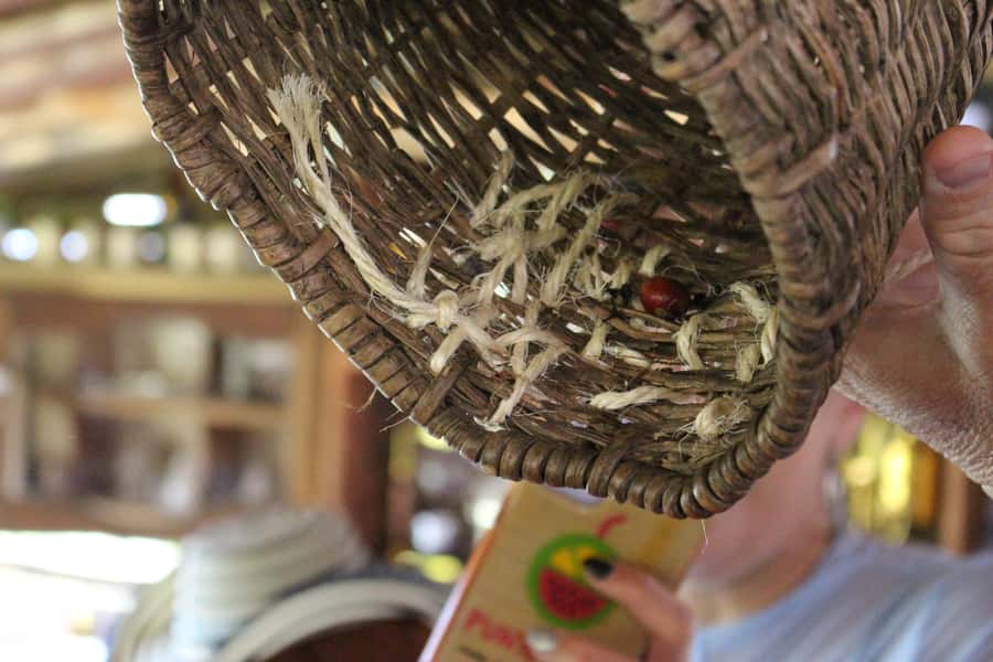 Medellin: Coffee Tour with Hotel Transfers and Meals - Plátano calado con quesito to finish