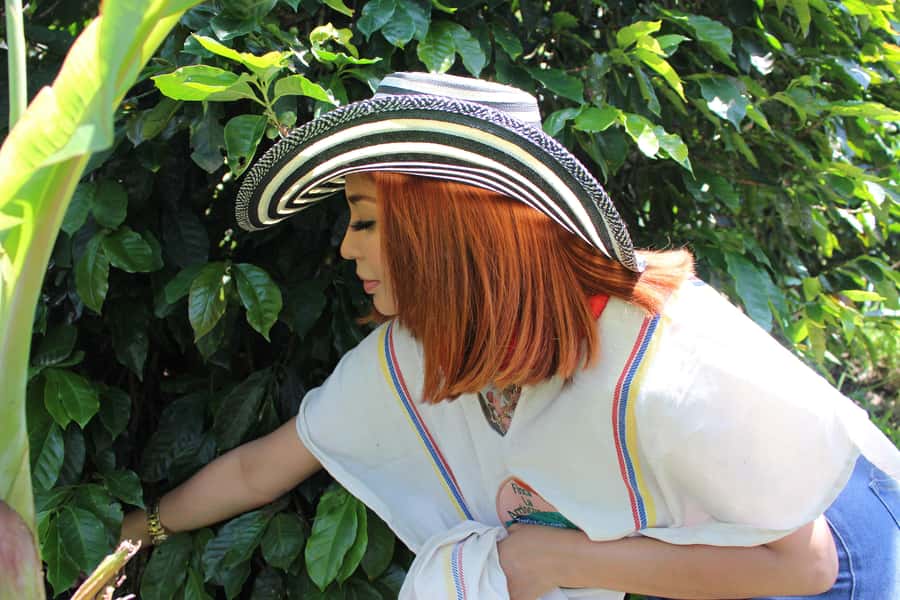 Medellin: Coffee Tour with Hotel Transfers and Meals - Group size, guide quality, and the family feel