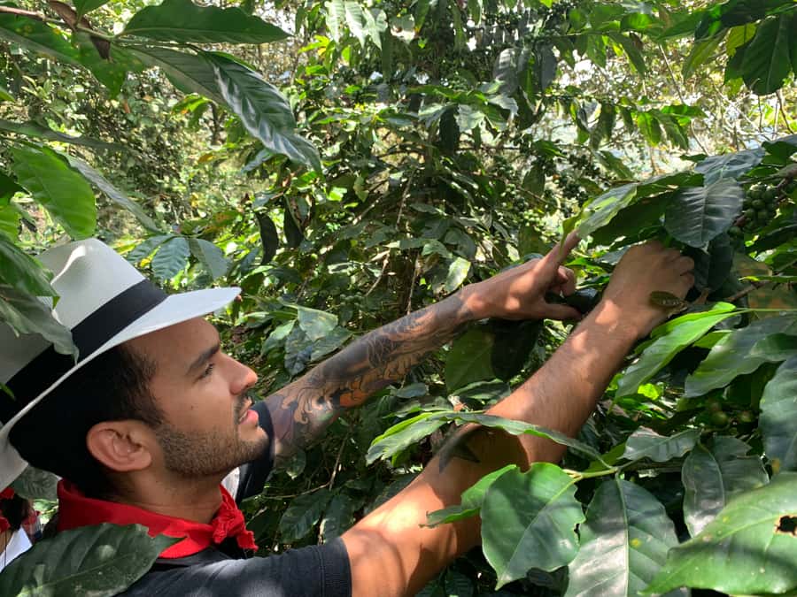 Medellin: Coffee Tour with Transport, Snacks and Tastings - What the $80 Price Includes
