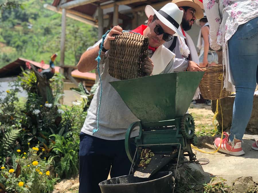 Medellin: Coffee Tour with Transport, Snacks and Tastings - Picking Coffee Cherries and Following the Process