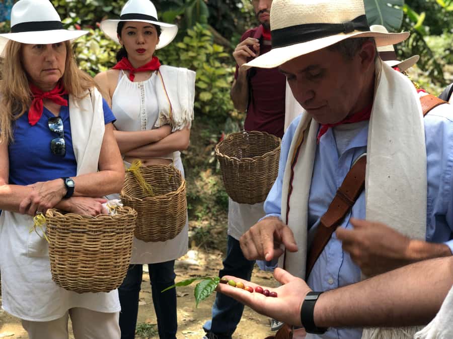 Medellin: Coffee Tour with Transport, Snacks and Tastings - Coffee Husk Tea and a Mucilage Frappé