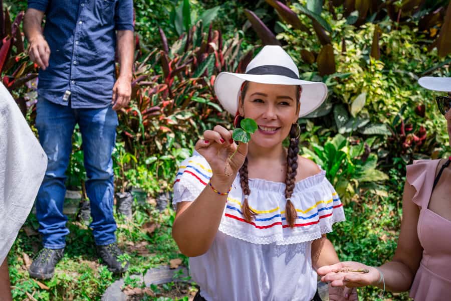 Medellin: Coffee Tour with Transport, Snacks and Tastings - Pickup from Medellín and the 45-Minute Ride