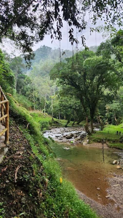 MEDELLIN: ESPIRITU SANTO HOT SPRINGS - The 5:30 am departure and the road from Medellín