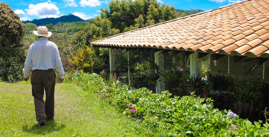 Medellín: Flower Farm & Silletero History Tour - At the flower farm, expect a personal visit