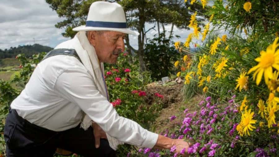 Medellín: Flower Farm & Silletero History Tour - The 45-minute ride from Medellín to Santa Elena