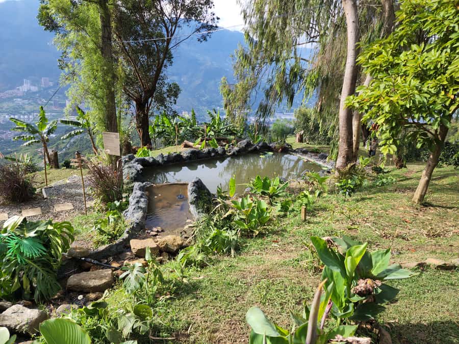 Medellin: Glamping Spa and coffee tour Experience - Reaching the Farm from Arví Station