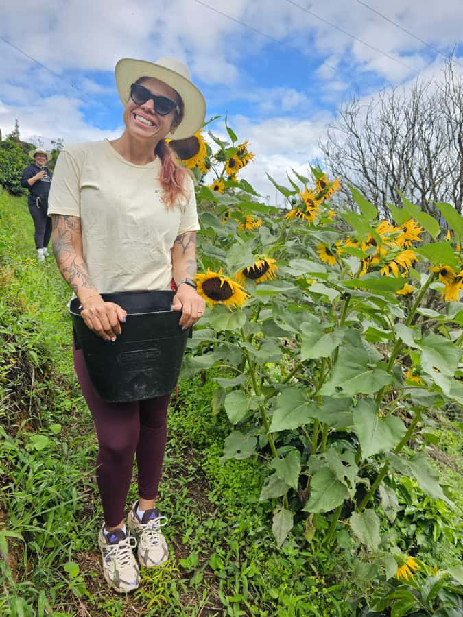 Medellin: Guatape, El Peñol Coffee Farm Private Tour & Fruit - What to bring and who should book