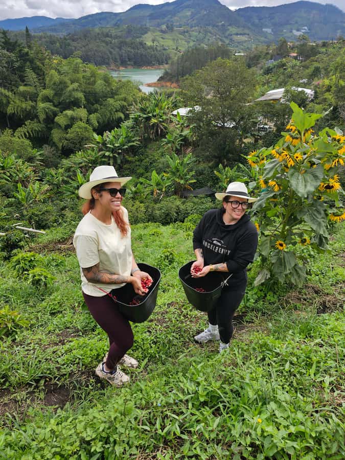 Medellin: Guatape, El Peñol Coffee Farm Private Tour & Fruit - Climbing the 700 steps of El Peñol Rock