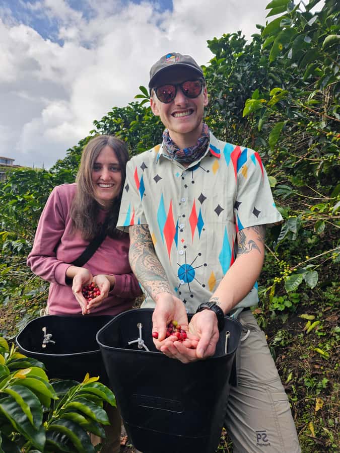 Medellin: Guatape, El Peñol Coffee Farm Private Tour & Fruit - Guatape’s painted streets and local character