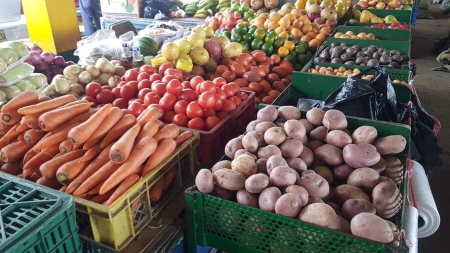 Medellin: Guatape, El Peñol Coffee Farm Private Tour & Fruit - Transportation, timing, and the private advantage