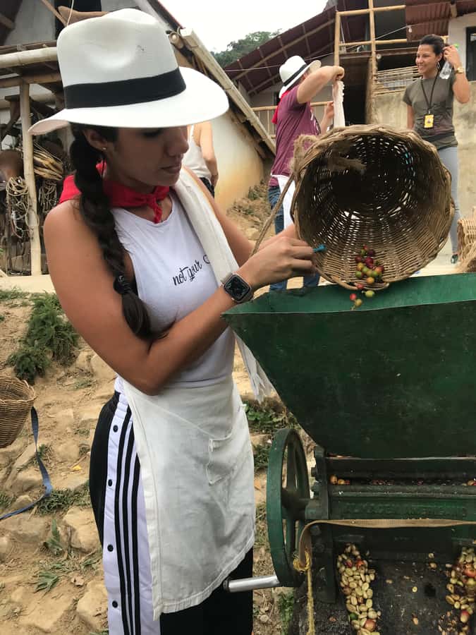 Medellín: Guatape Village with Coffee and Fruit Tasting Tour - What the private format changes