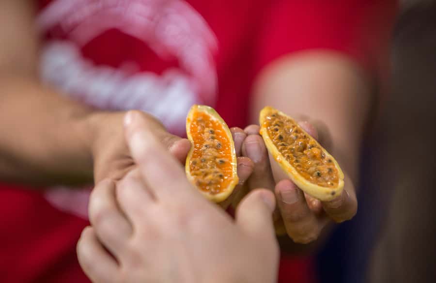 Medellín: Guided Exotic Fruits Tour - How Long the Tour Really Takes